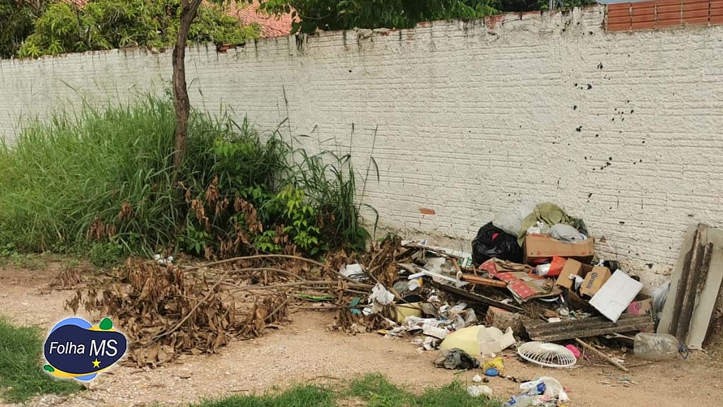 mato escola1 Rede Estadual