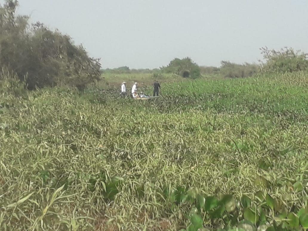 Trabalhador rural é socorrido pelos bombeiros após levar coice de cavalo no Pantanal