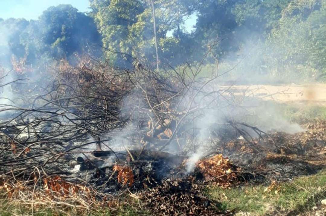 Bombeiros combatem quatro incêndios em vegetação nas últimas 24 horas