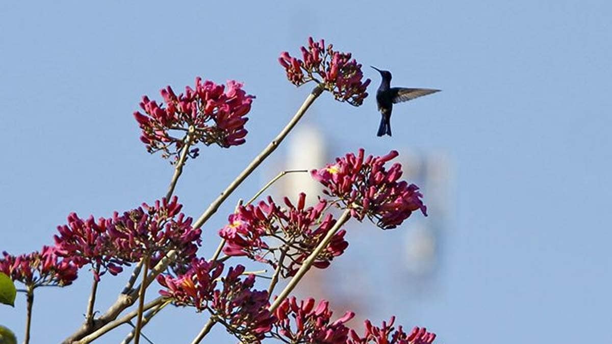 Frio intenso dá boas vindas ao mês de julho, mas começa a perder força