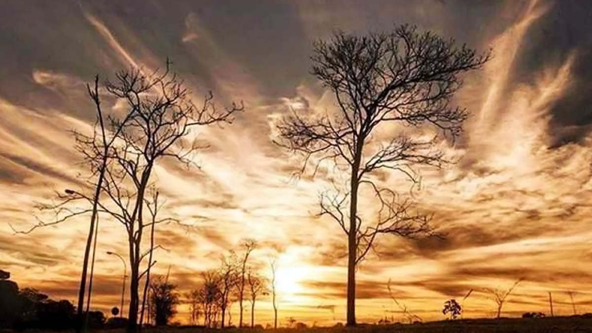 Meteorologia prevê temperaturas em elevação e tempo seco em MS