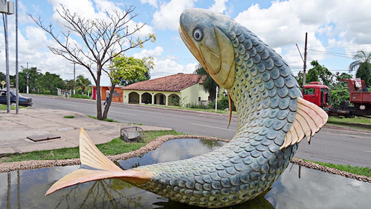 Indicação parlamentar garante R$ 4,6 milhões de investimentos em pavimentação e drenagem para Ladário