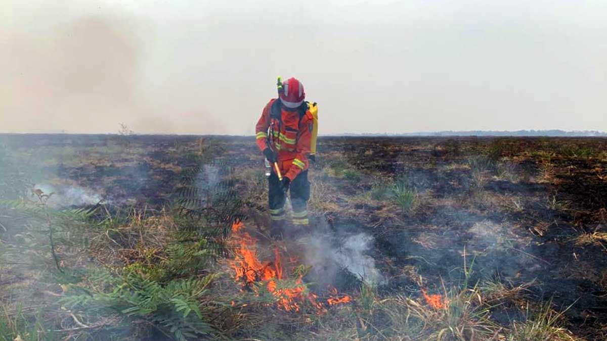 Semadesc investe R$ 1,5 milhão em brigadas voluntárias contra incêndios no Pantanal. Projeto cria 10 núcleos operacionais em Corumbá e Porto Murtinho.