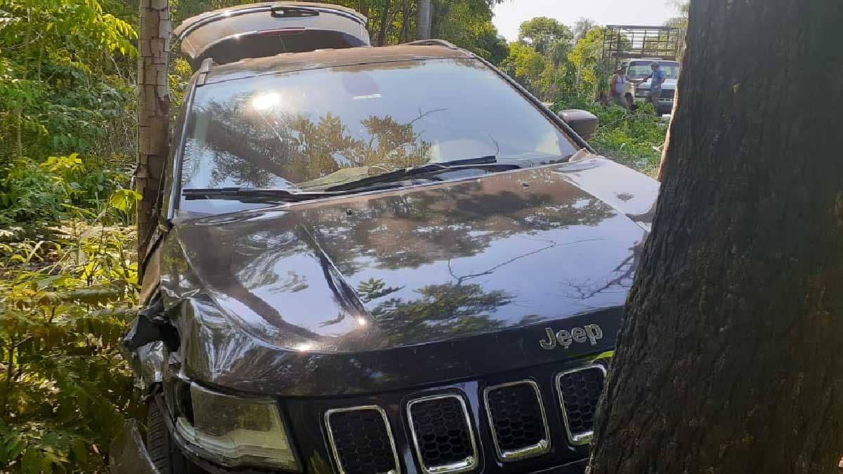 Veículo bate em árvore após desviar de colisão frontal na BR-262