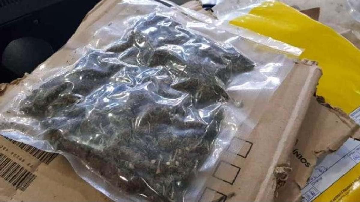Jovem é preso ao tentar despachar maconha pelos Correios em Campo Grande