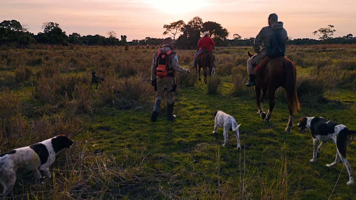 Bombeiros prosseguem com buscas por trabalhador desaparecido na região do Paiaguás