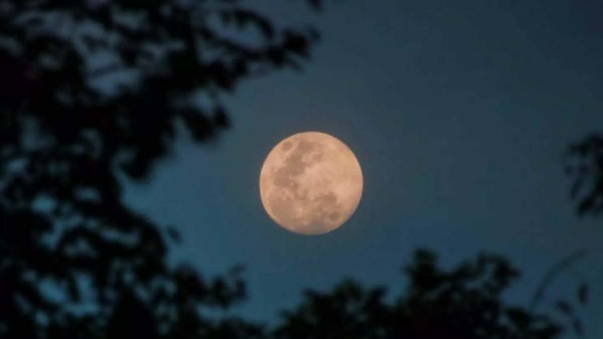 Última Superlua do ano poderá ser vista em MS nesta quinta-feira; saiba como observar