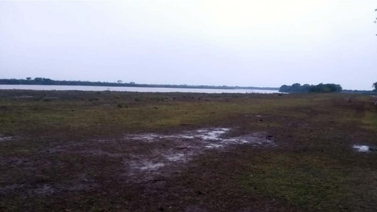Chegada da chuva extingue focos de incêndios que atingiam regiões no Pantanal