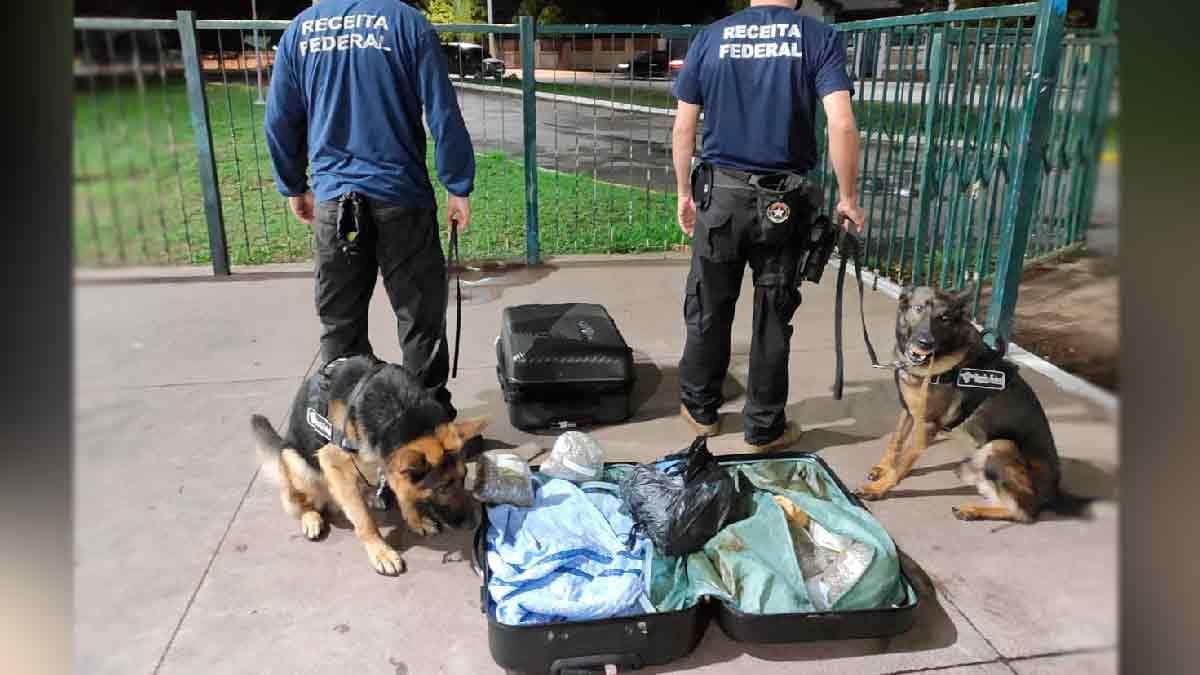 Receita Federal apreende drogas em bagagem de passageiro na rodoviária de Corumbá