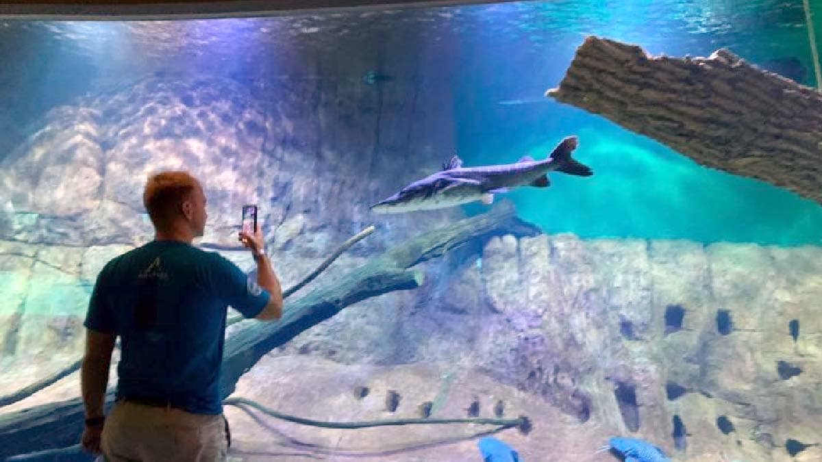 Turistas de 75 países já registraram passagem pelo Bioparque Pantanal