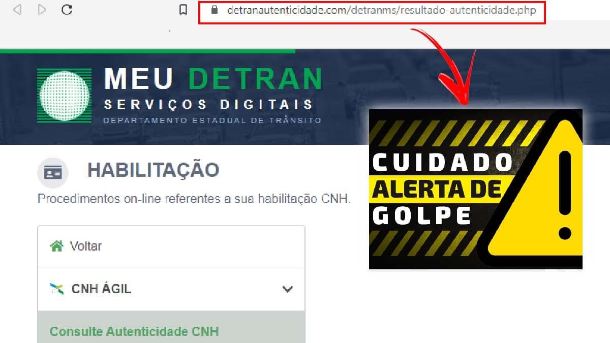 Detran-MS alerta para golpe da falsa autoescola e site clonado para emissão de CNH