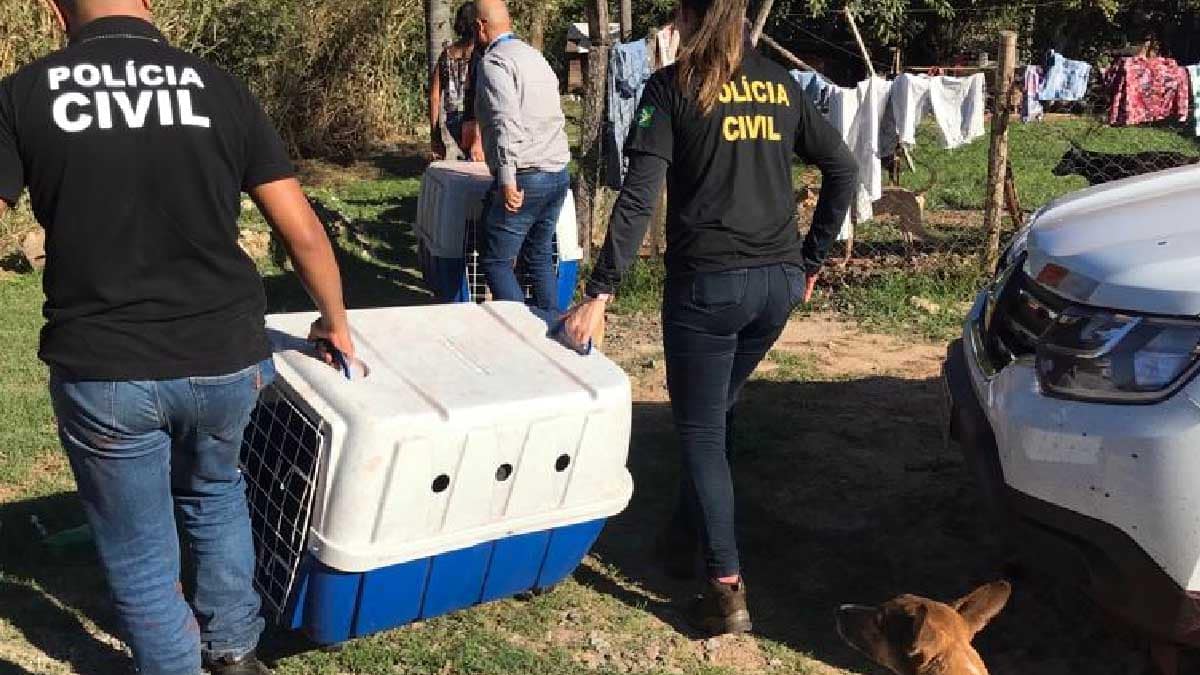 Ação de conscientização sobre maus-tratos a animais é realizada em Porto Esperança