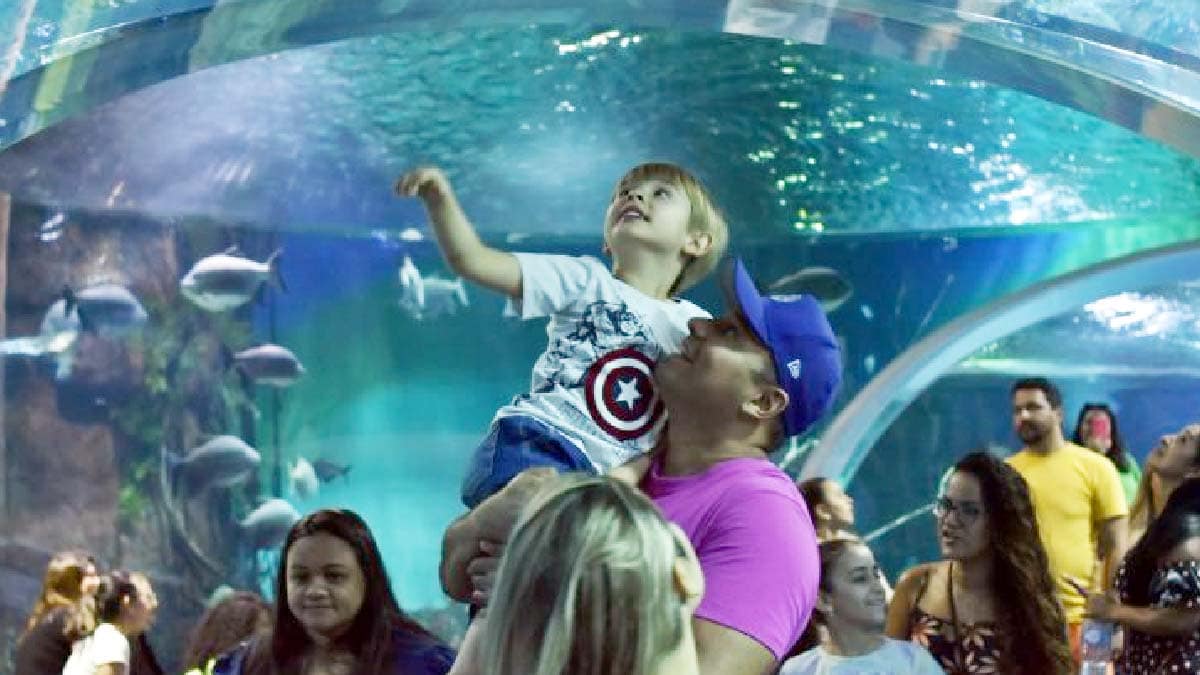 No aniversário de Campo Grande, Bioparque Pantanal funcionará em horário especial