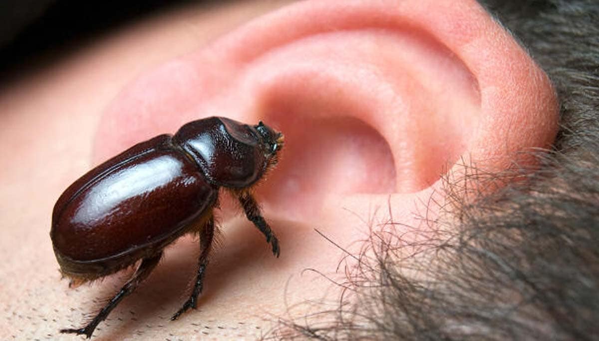 Bombeiros socorrem mulher com besouro no ouvido em Porto da Manga
