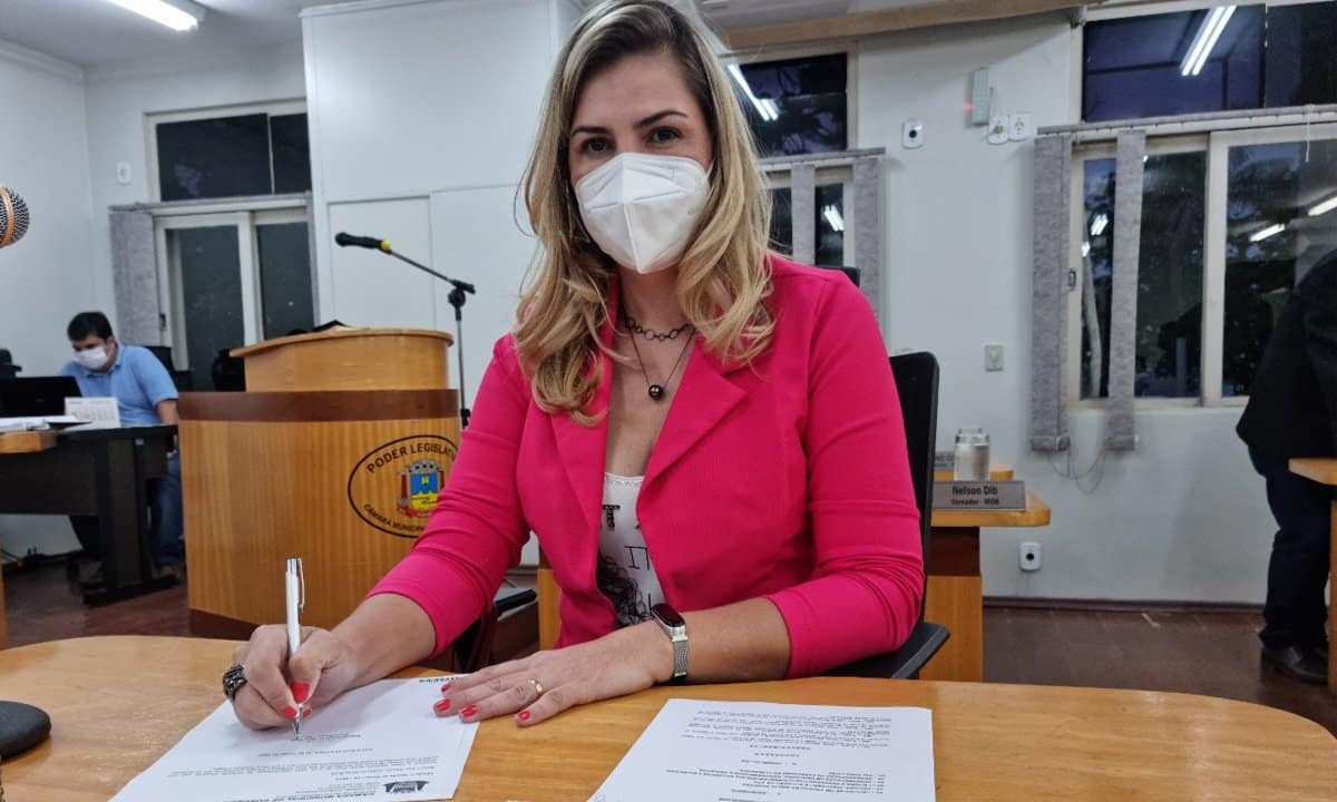 Vereadora solicita sinalização em redutores de velocidade no Anel Viário