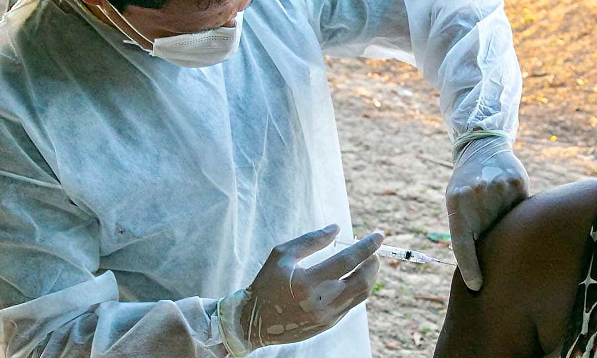 vacina pfizer gravidas