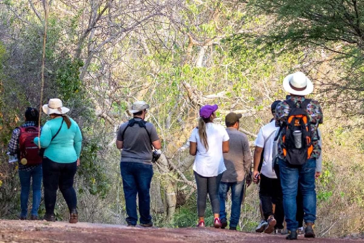 Ladário participa do Global Big Day e cataloga 107 espécies de aves na APA Baía Negra