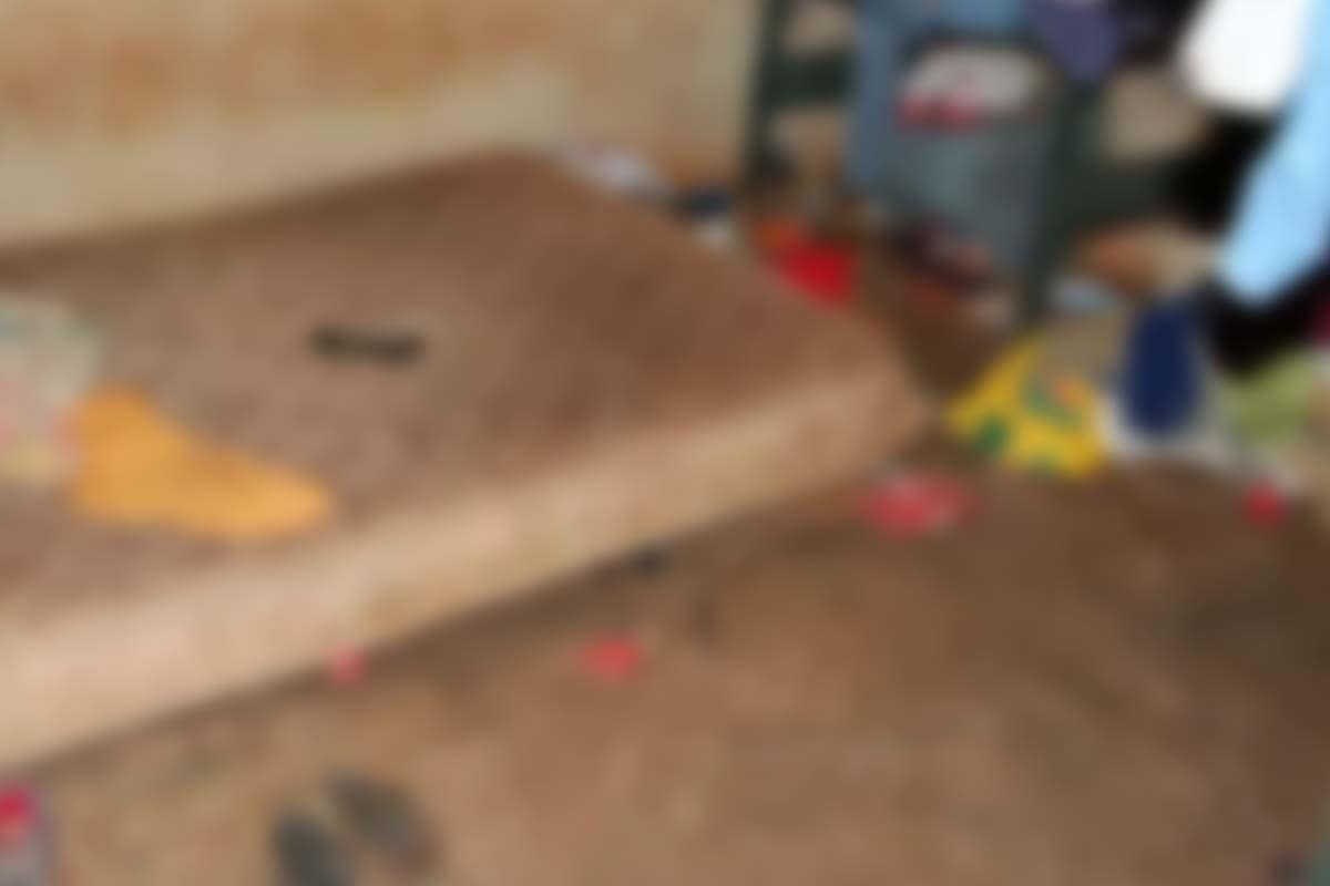 Polícia resgata irmãos que viviam em casa insalubre com 24 animais
