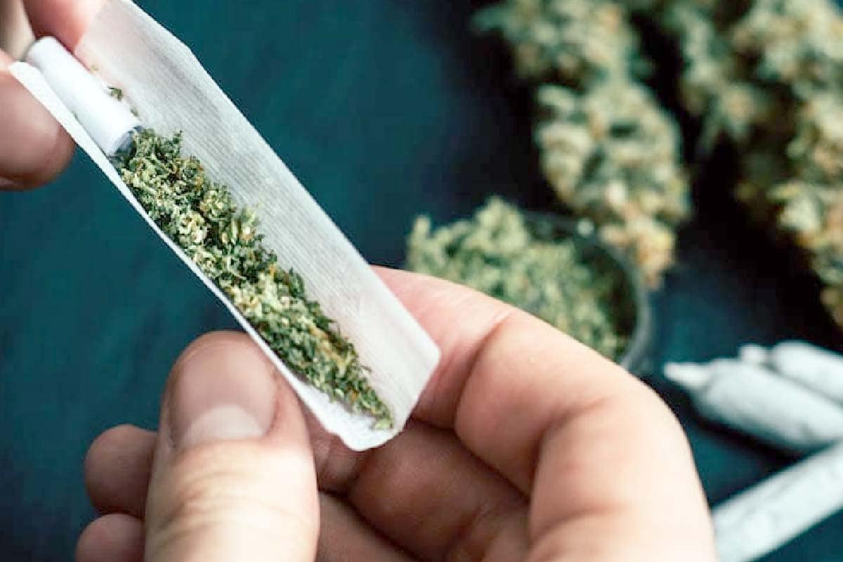 Supremo fixa 40g de maconha para diferenciar usuário de traficante