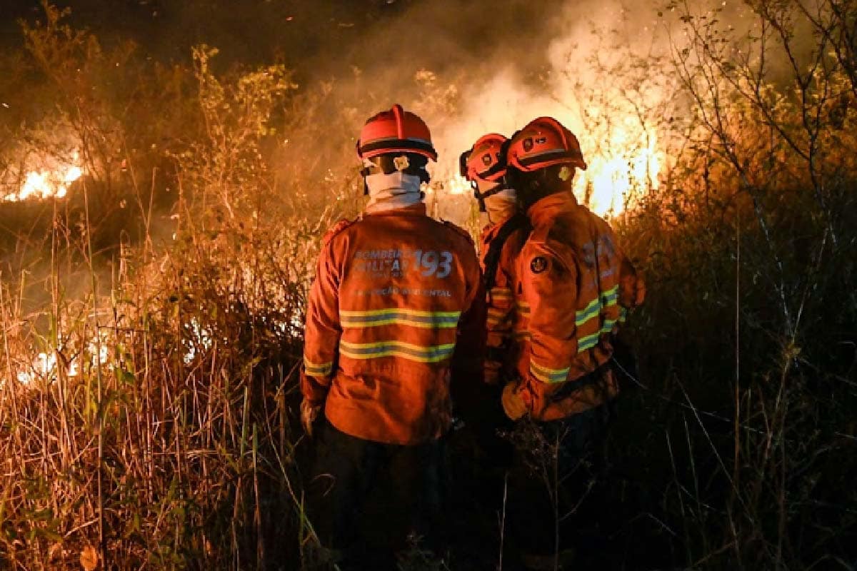 “Estamos em uma das piores situações”, diz Marina sobre Pantanal