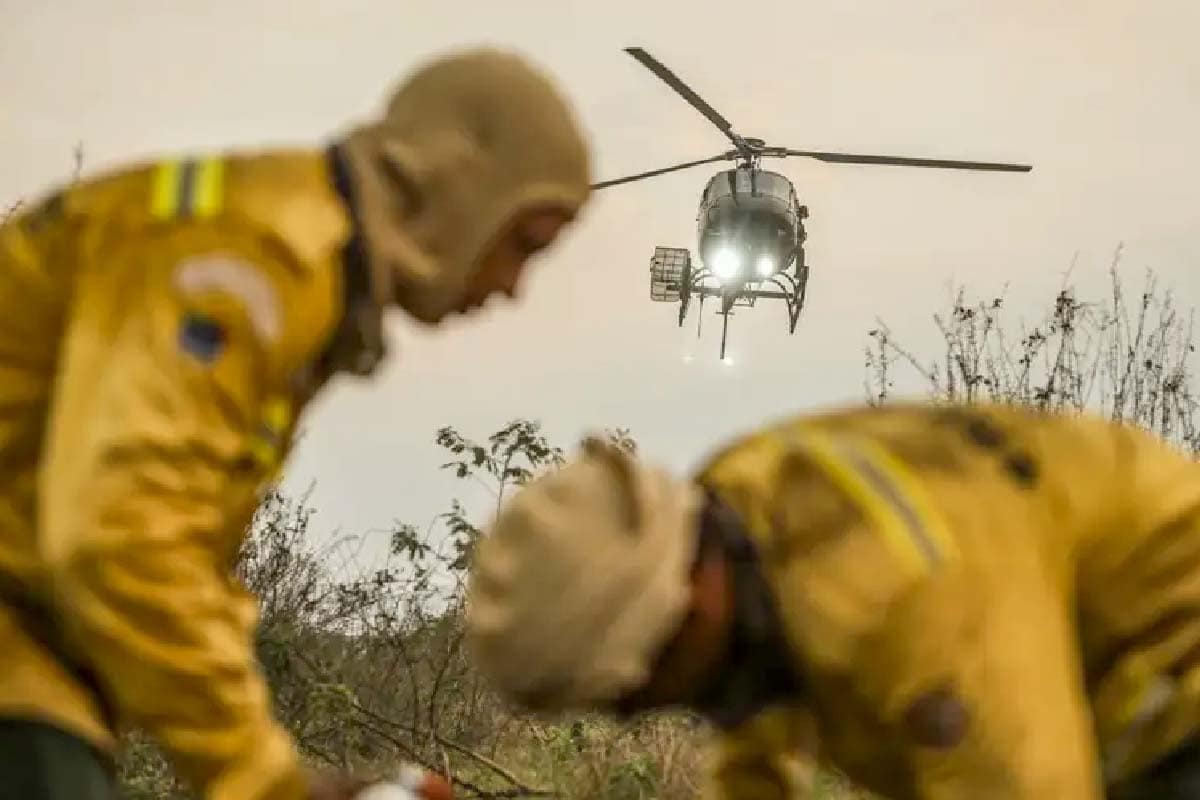 100 dias de combate marcam concentração de esforços para extinguir incêndios no Pantanal