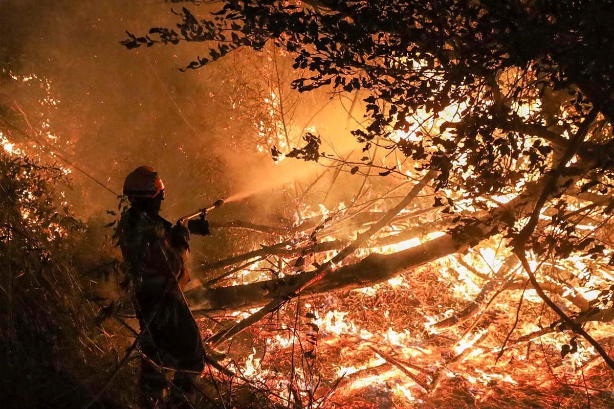 Combate a incêndios no Pantanal: 2 focos permanecem ativos e 92 bombeiros em ação