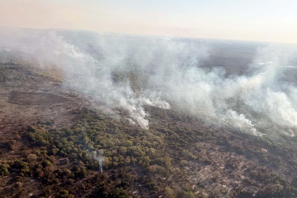 Focos de incêndios diminuem, mas situação ainda é crítica no Pantanal