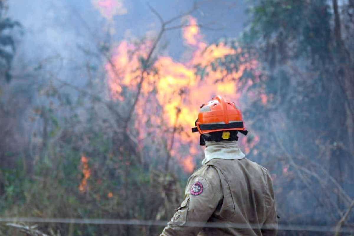 Bombeiros travam batalha contra o fogo para conter incêndio na região do Nabileque
