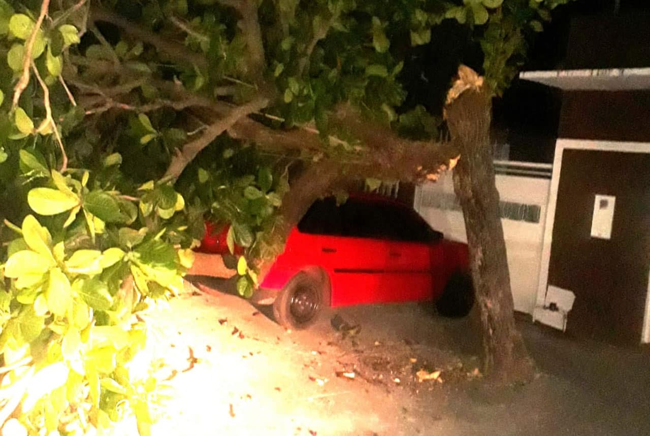 Árvore cai sobre veículo estacionado no Dom Bosco