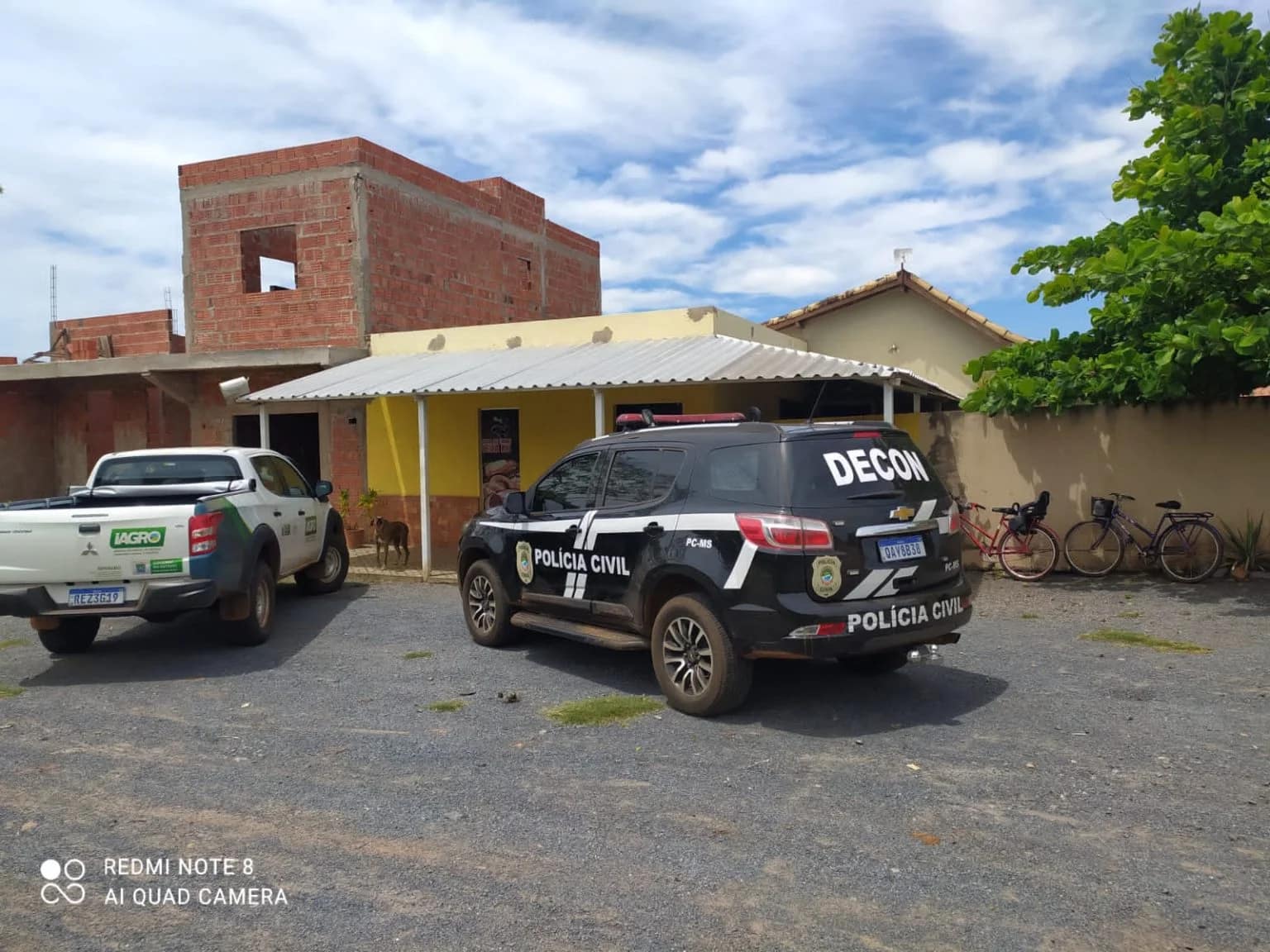 Ação conjunta combate comércio de produtos e abate clandestino de animais no interior do Estado