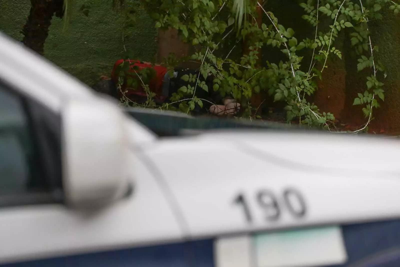 machadada na cabeça