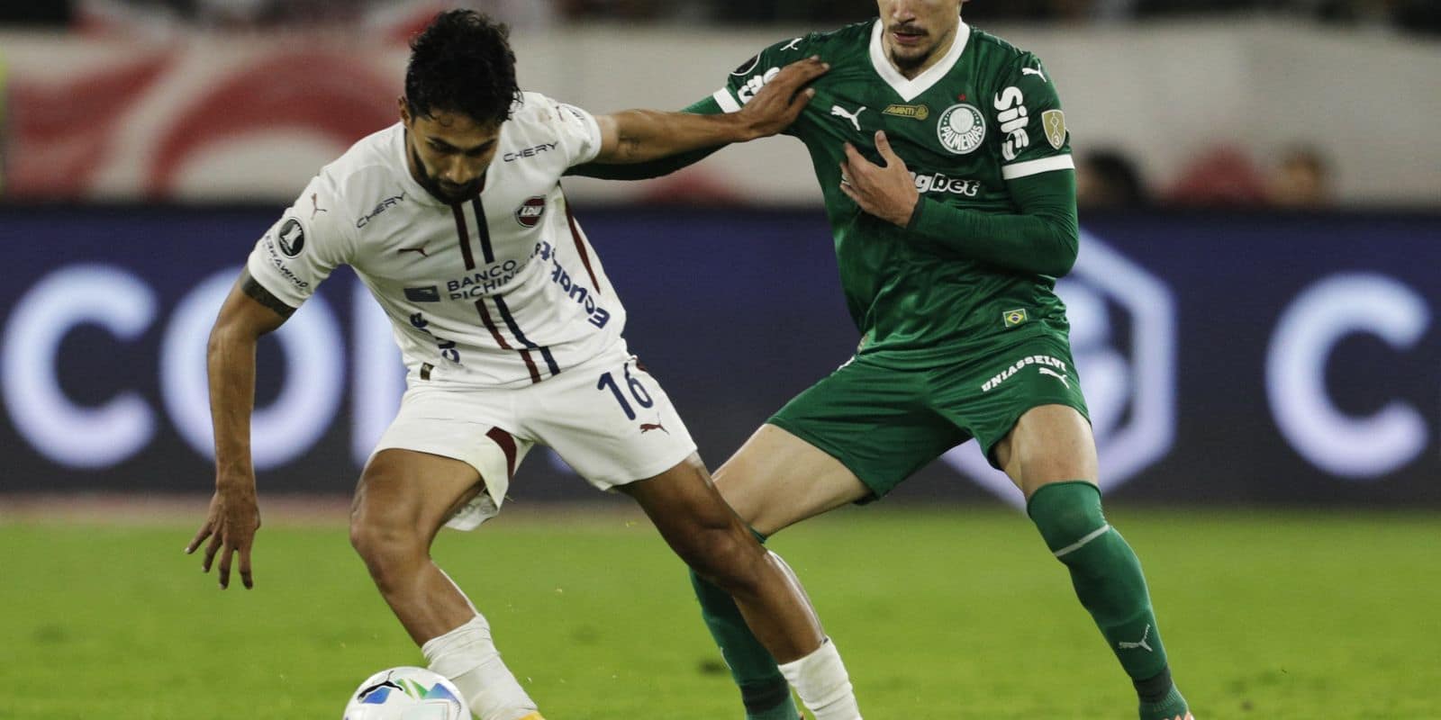 Palmeiras joga futuro na Libertadores diante da LDU