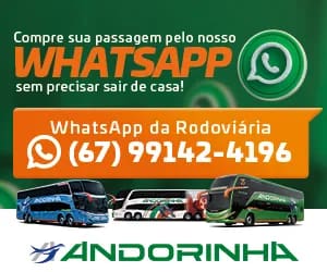 arte andorinha celular