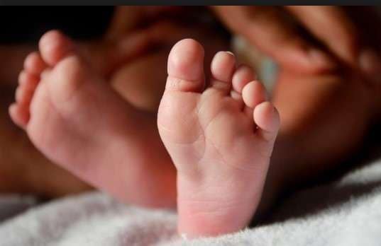 morte por síndrome respiratória