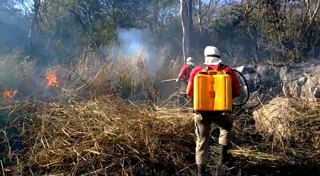 Bombeiros registram três incêndios em vegetação na área urbana de Corumbá | Vídeo