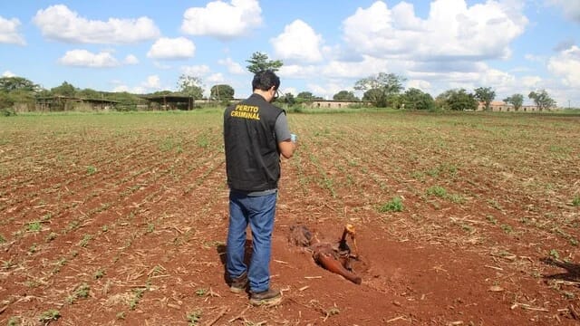 Homem que matou e enterrou corpo em Ponta Porã é preso