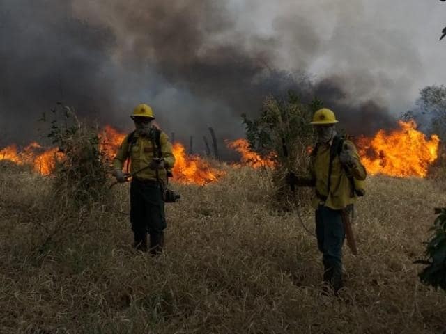 Vereador pede Brigada PrevFogo permanente em Corumbá