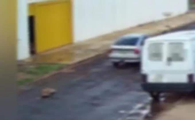 VÍDEO: Cachorro é amarrado por corda e arrastado por carro na Capital