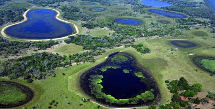Câmara apoia instalação da sede do Parque Nacional do Pantanal em Corumbá