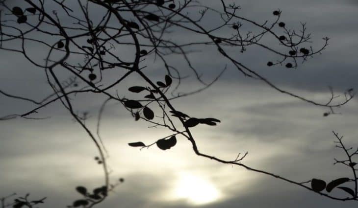 Frente fria avança sobre Mato Grosso do Sul nesta segunda-feira (13) e deve provocar chuva forte, ventos de até 60 km/h e queda de temperatura em várias regiões.