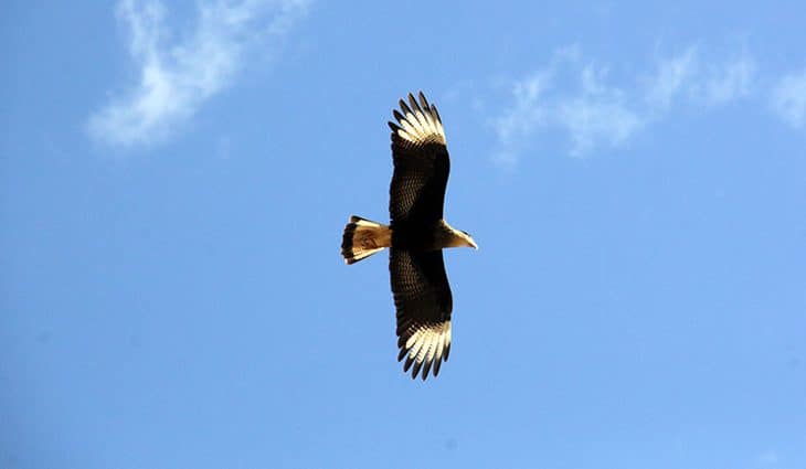 Tempo firme marca a quarta-feira em Mato Grosso do Sul