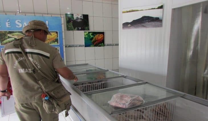 Operação Piracema: fiscalização de peixarias e restaurantes começa nesta segunda-feira