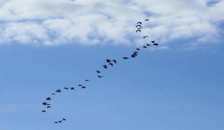 Tempo instável deve marcar a semana em Mato Grosso do Sul
