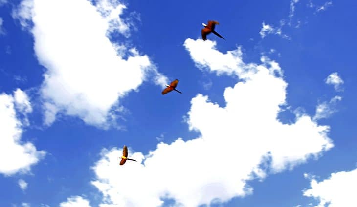 Períodos de sol e chuvas de verão devem marcar a quinta-feira em Mato Grosso do Sul