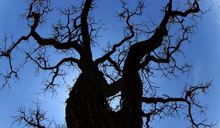 Saiba como será a primeira semana de outono em Mato Grosso do Sul