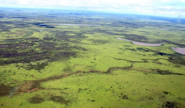 Dia do Meio Ambiente: Governo anuncia investimentos e medidas que fortalecem eixo da sustentabilidade