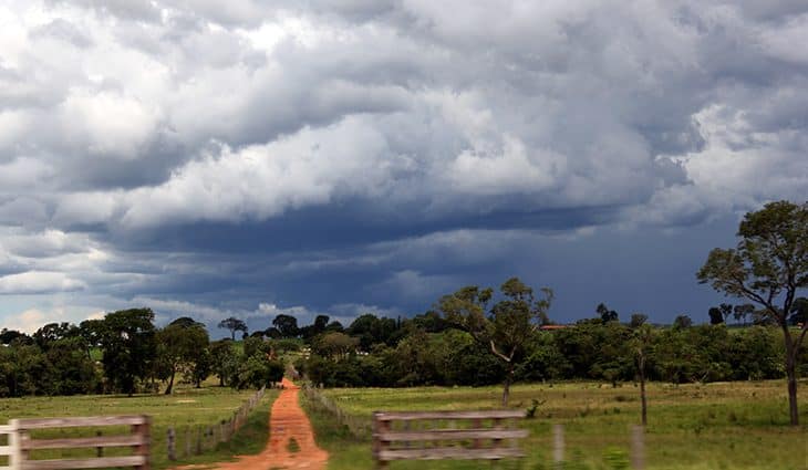 Meteorologia prevê tempo instável e possibilidade de chuva no Pantanal