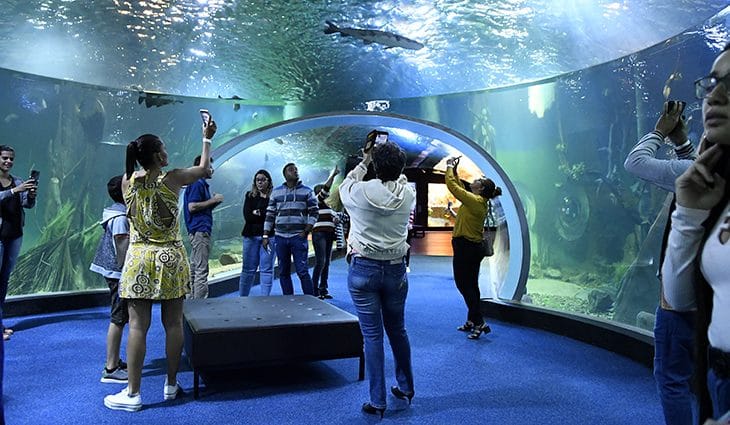 Bioparque Pantanal define funcionamento no Carnaval; agendamento começa na segunda-feira