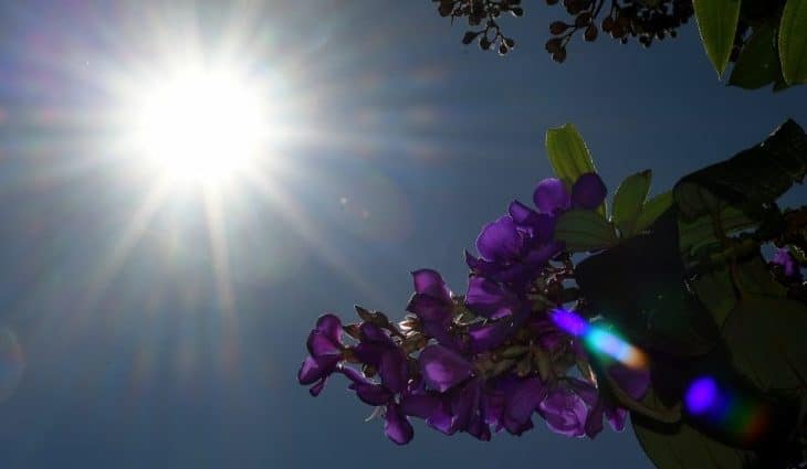 Quinta-feira tem previsão de tempo estável, com máxima de 33°C no Estado