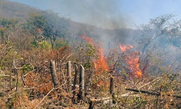 Bombeiros combatem incêndio em área de desmatamento no  Anel Viário